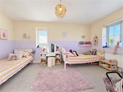 Picture 15